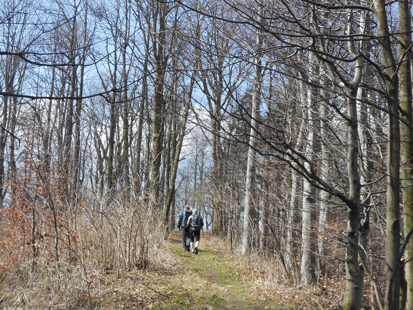 img00031.jpg
