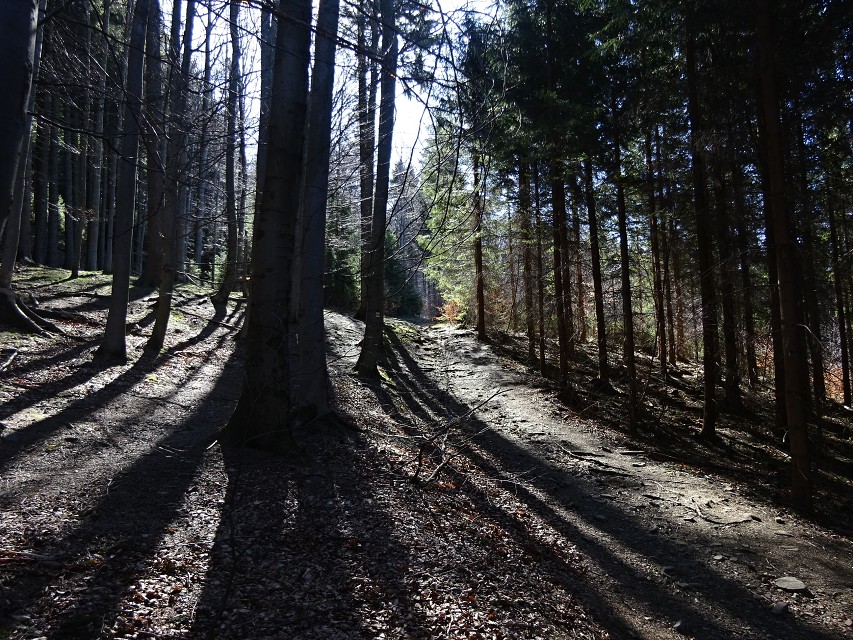 img00005.jpg