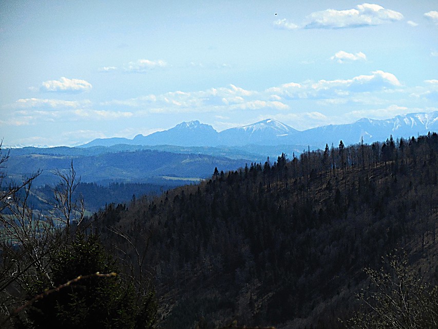 img00031.jpg