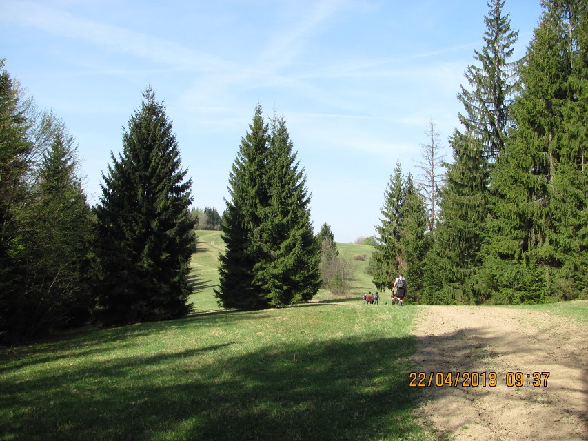 img00010.jpg