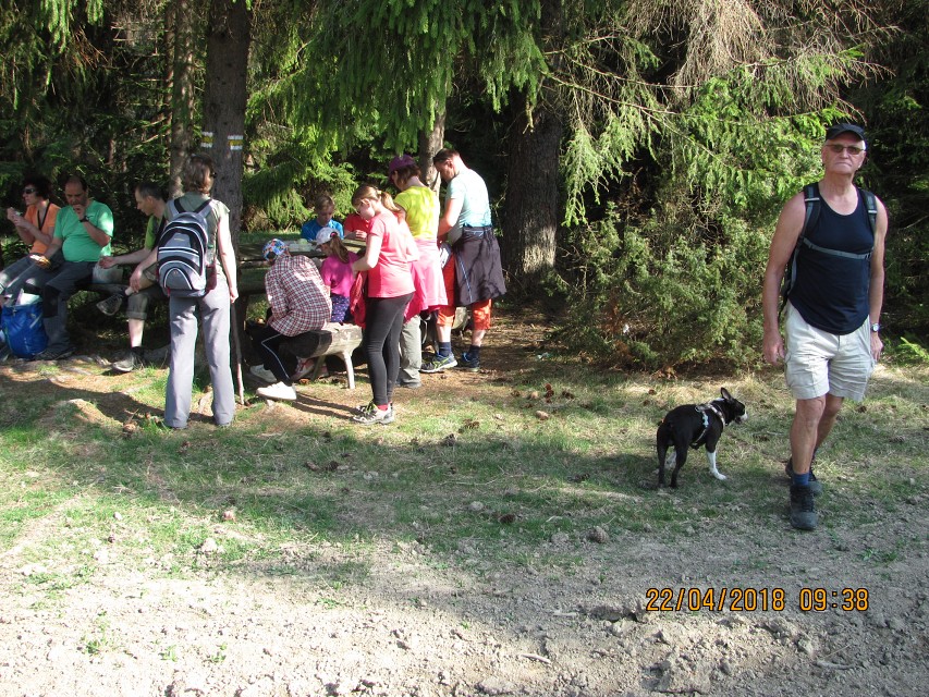 img00011.jpg