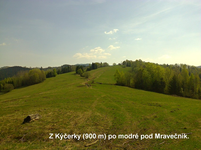 img00013.jpg