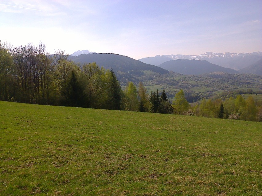 img00014.jpg