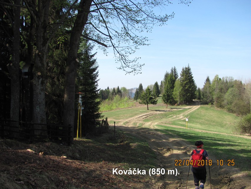img00016.jpg