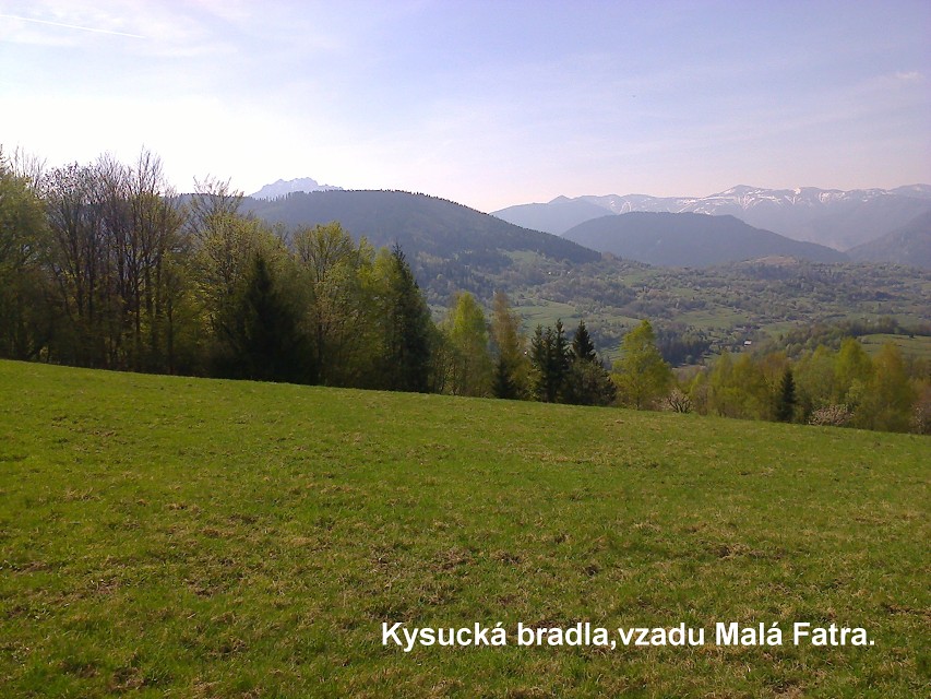 img00019.jpg