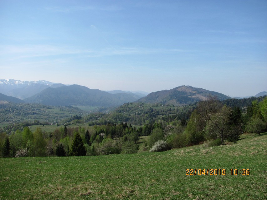 img00020.jpg