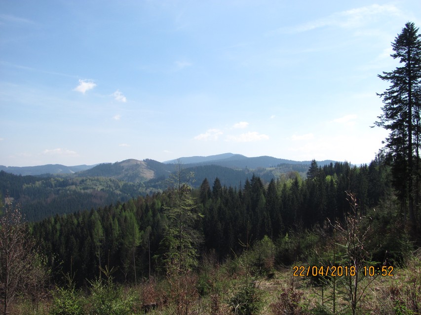 img00021.jpg