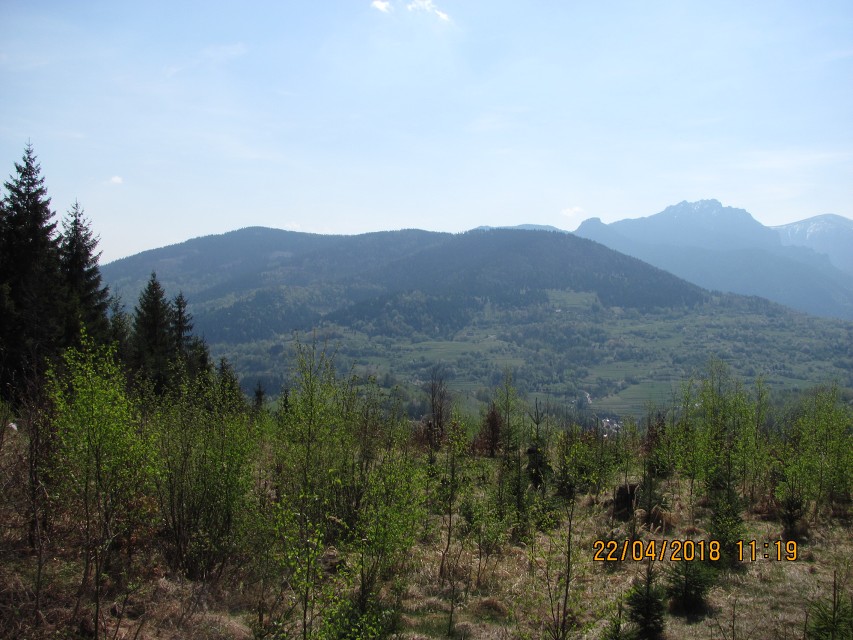 img00027.jpg