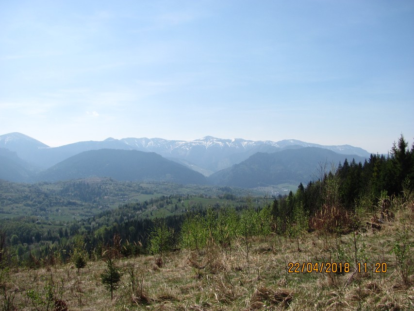 img00028.jpg