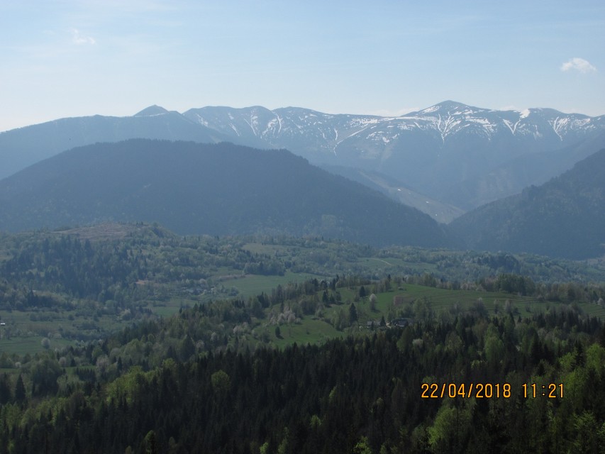 img00029.jpg