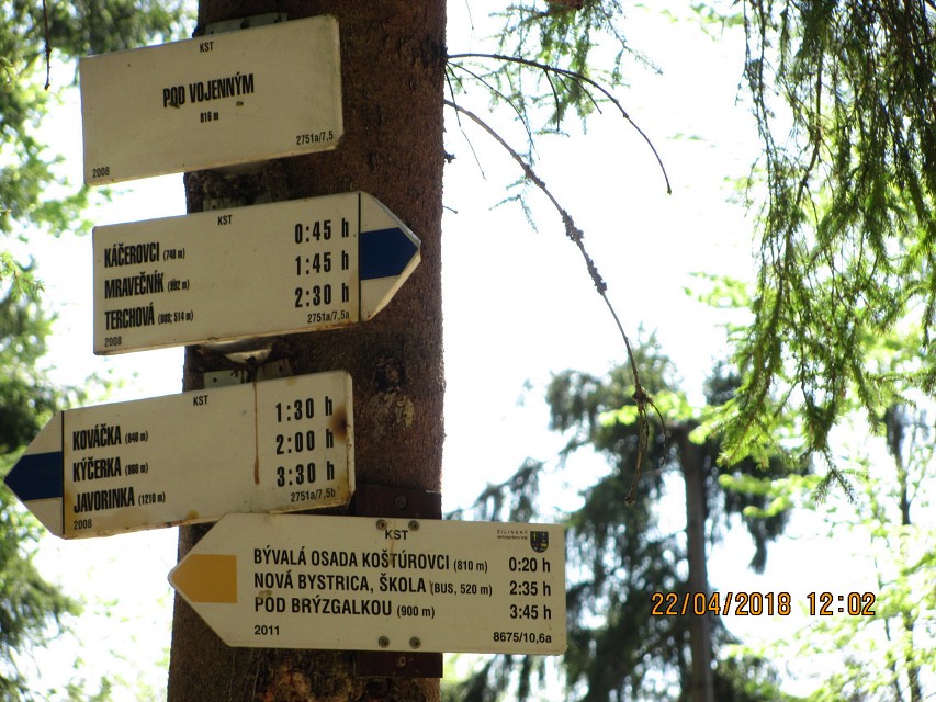 img00033.jpg
