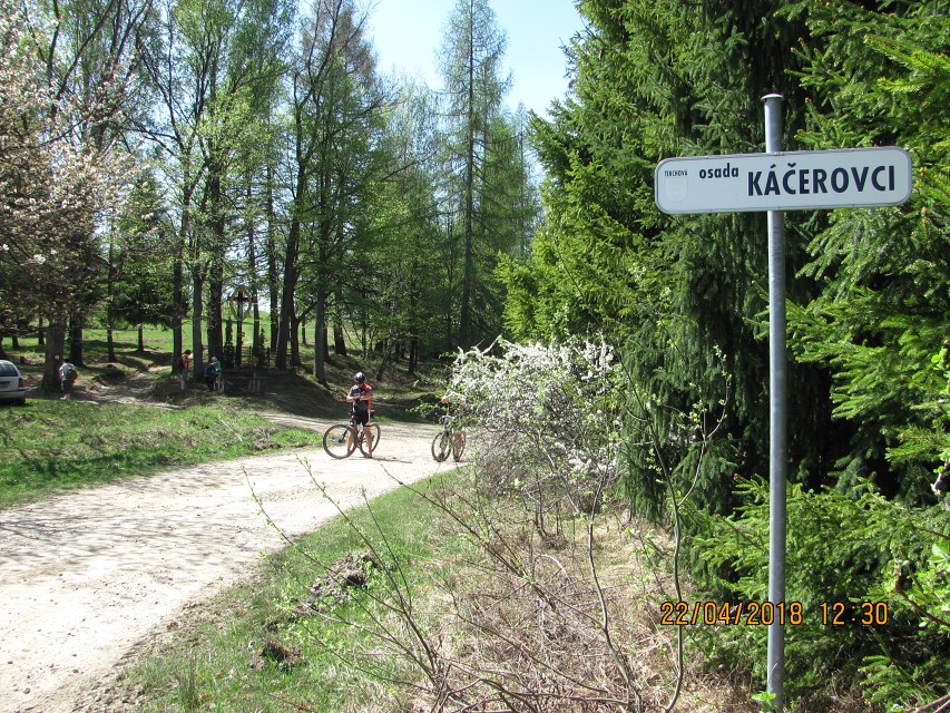 img00037.jpg
