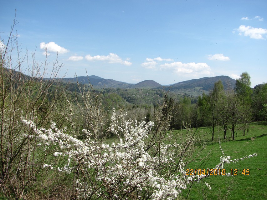 img00042.jpg