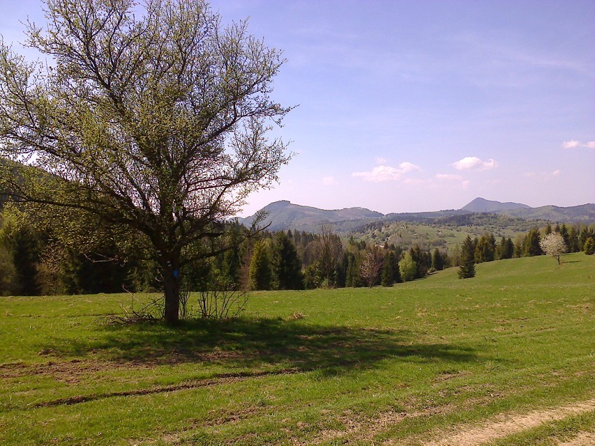 img00043.jpg