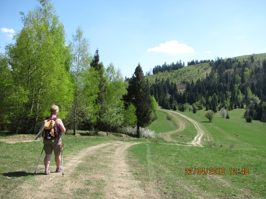 img00044.jpg
