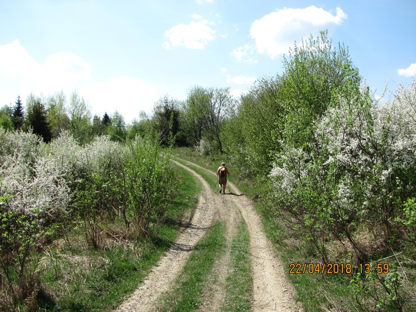 img00048.jpg