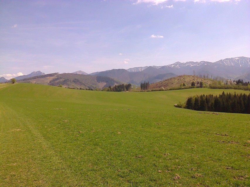 img00058.jpg