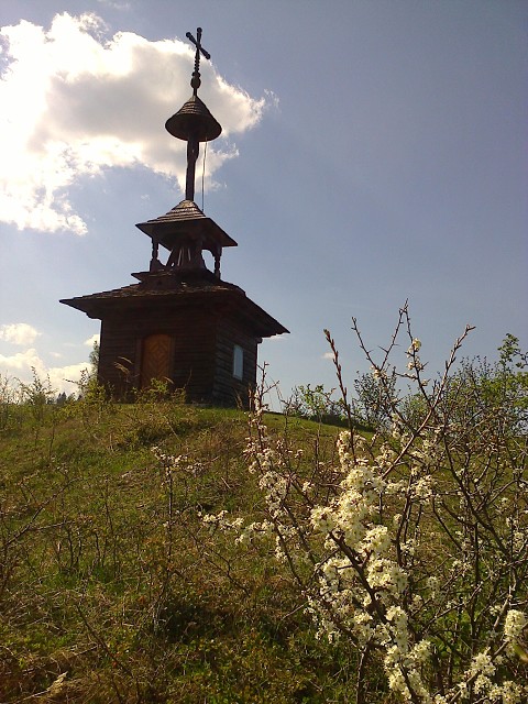img00061.jpg