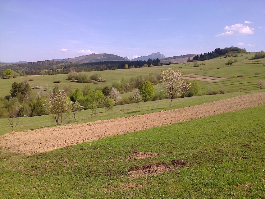 img00064.jpg