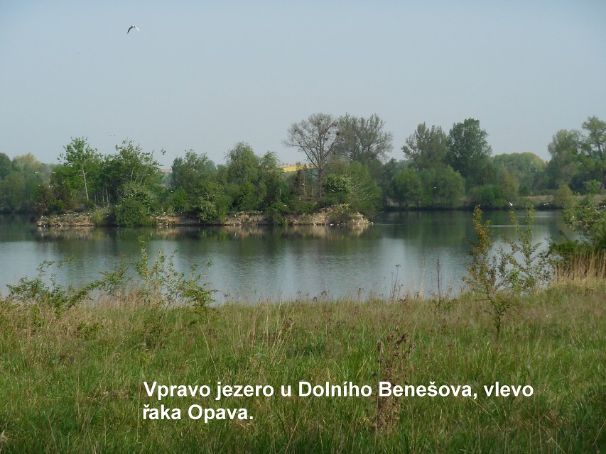 img00003.jpg