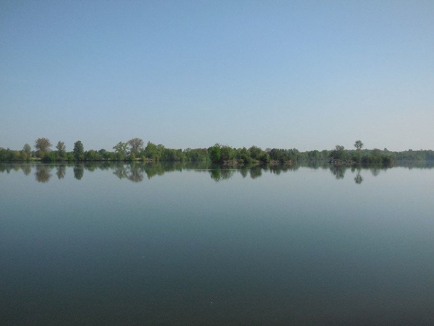 img00006.jpg