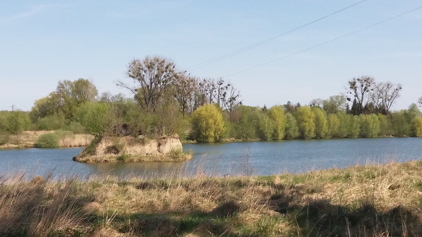 img00007.jpg