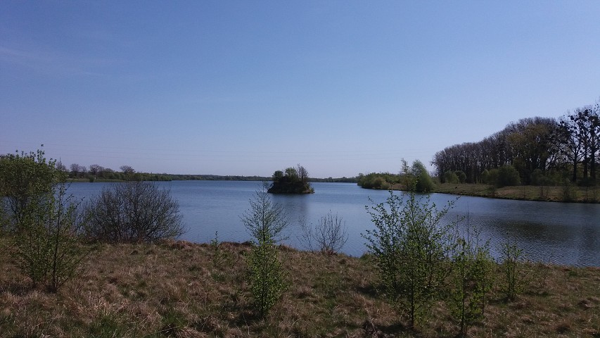 img00008.jpg