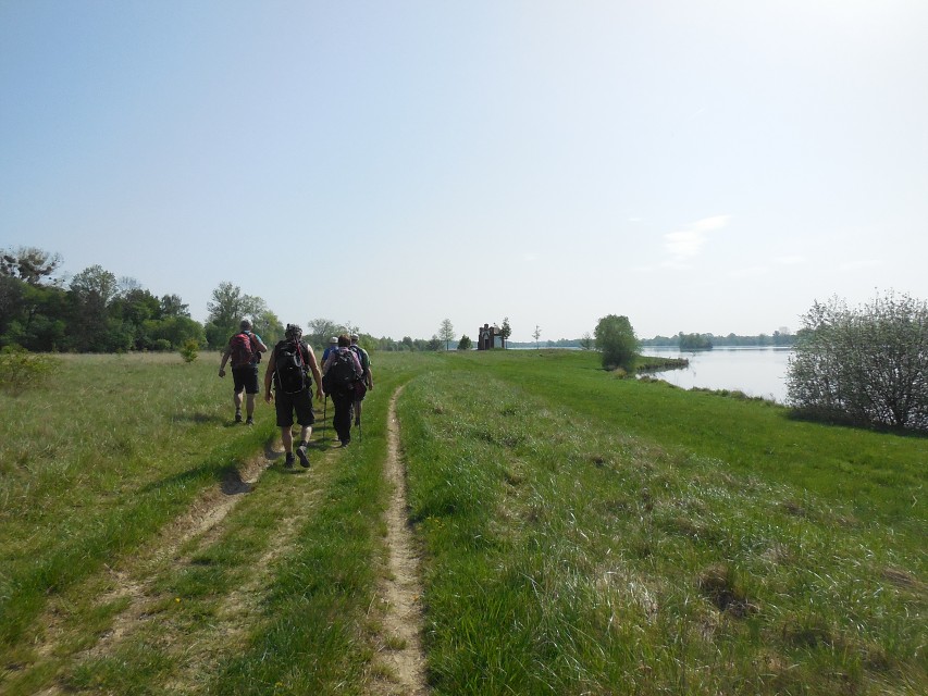 img00010.jpg