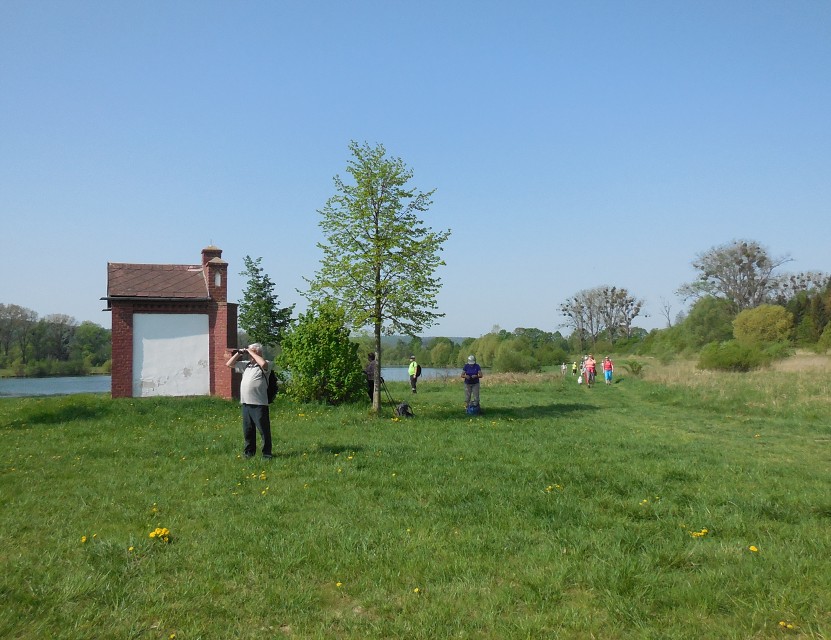 img00011.jpg