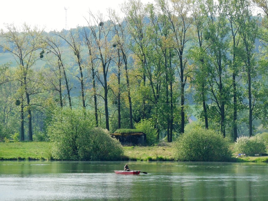 img00012.jpg