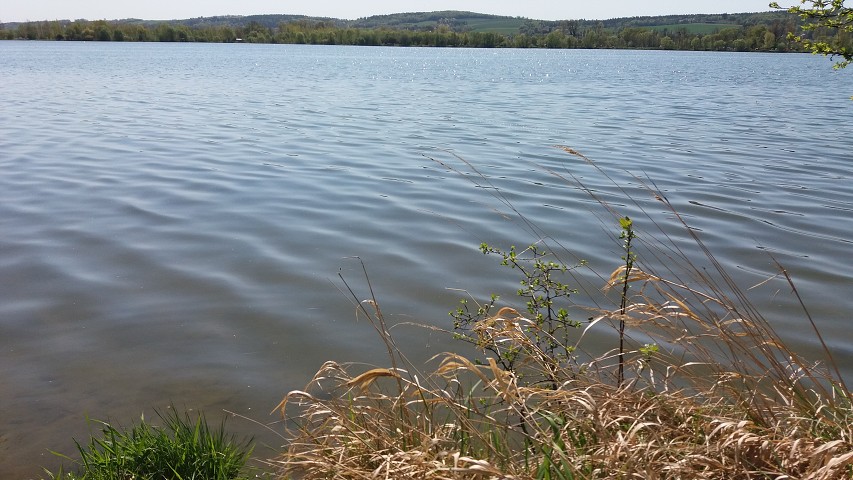 img00016.jpg