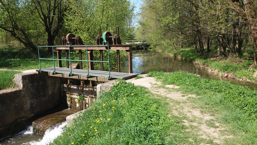 img00020.jpg