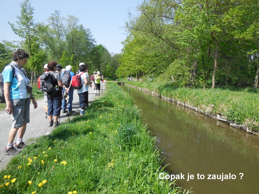 img00023.jpg
