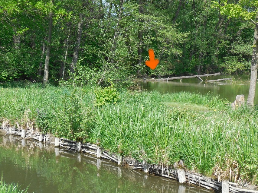 img00024.jpg