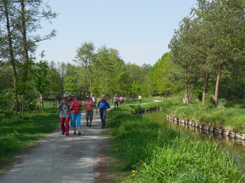 img00026.jpg