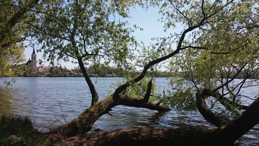 img00028.jpg