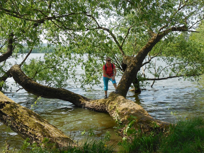 img00029.jpg
