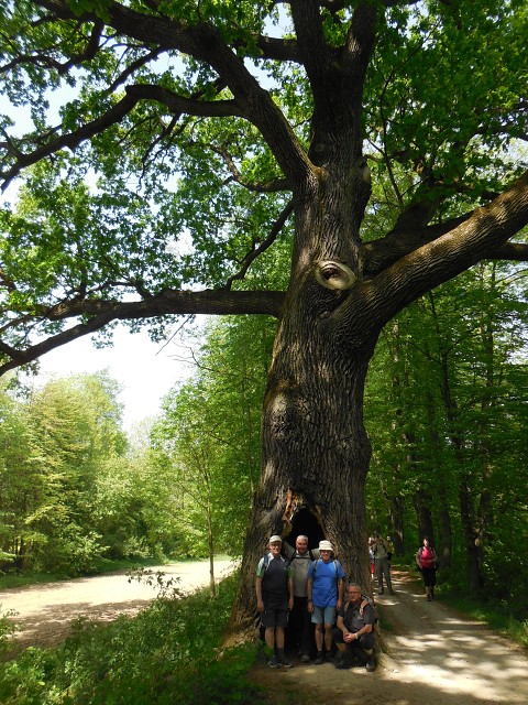 img00034.jpg