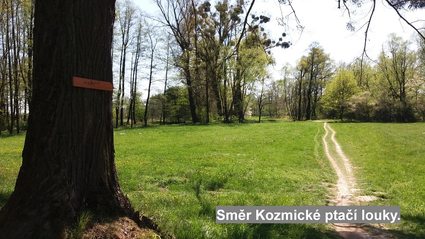 img00036.jpg