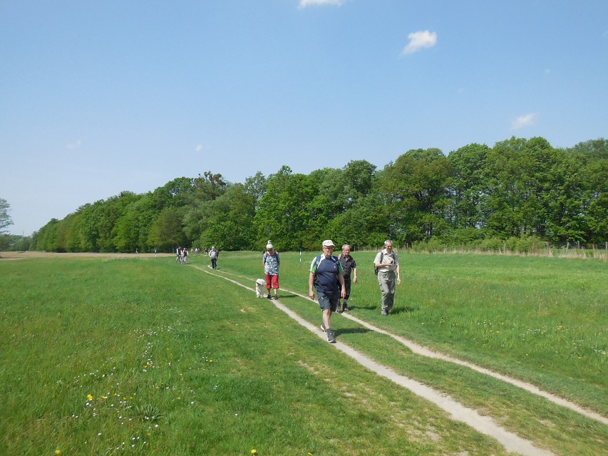 img00037.jpg