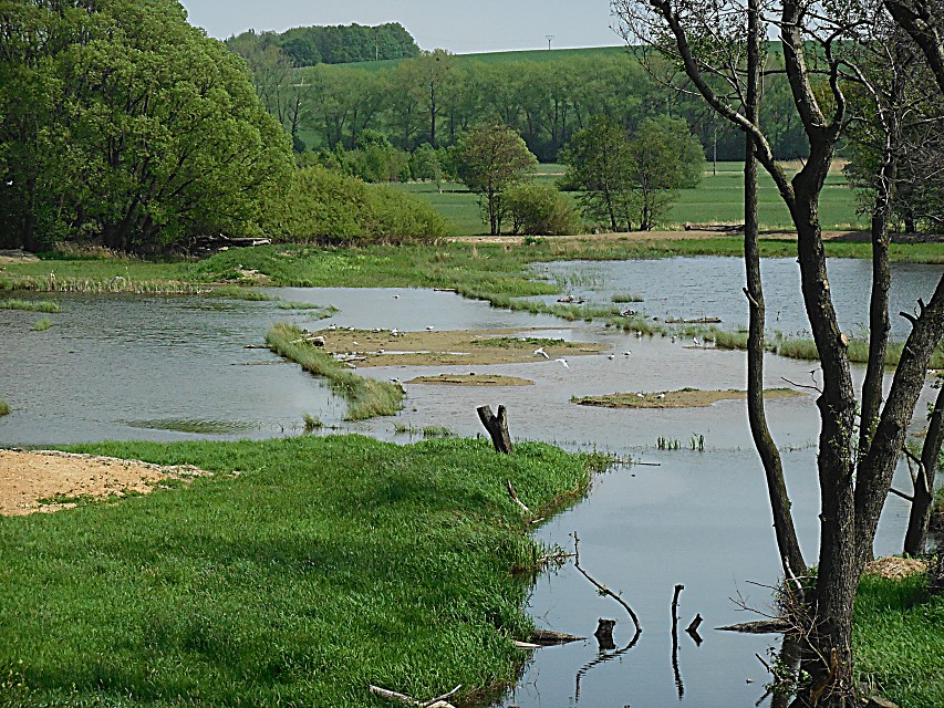 img00043.jpg