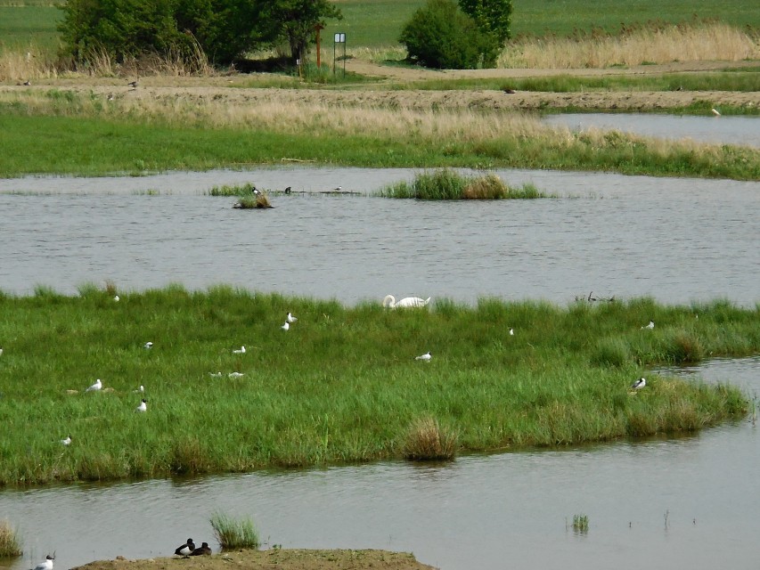 img00046.jpg