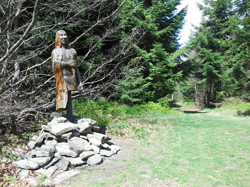 img00021.jpg