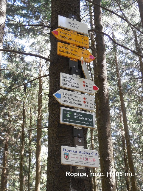 img00024.jpg