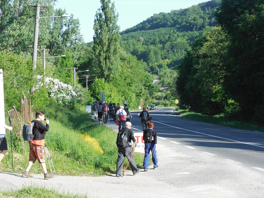 img00003.jpg