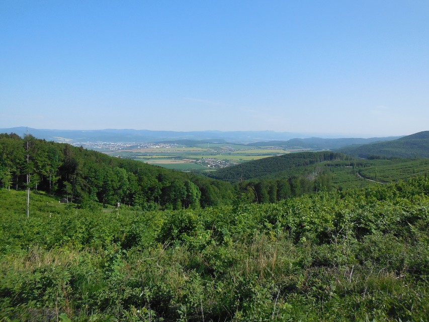img00012.jpg