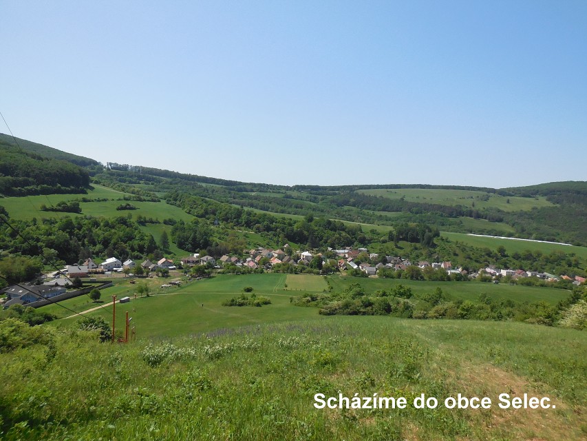 img00036.jpg