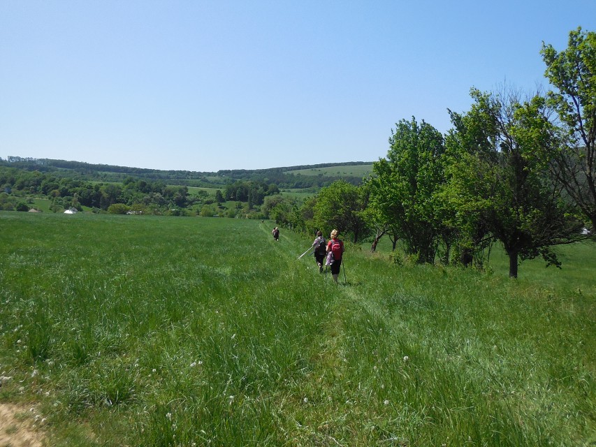 img00038.jpg