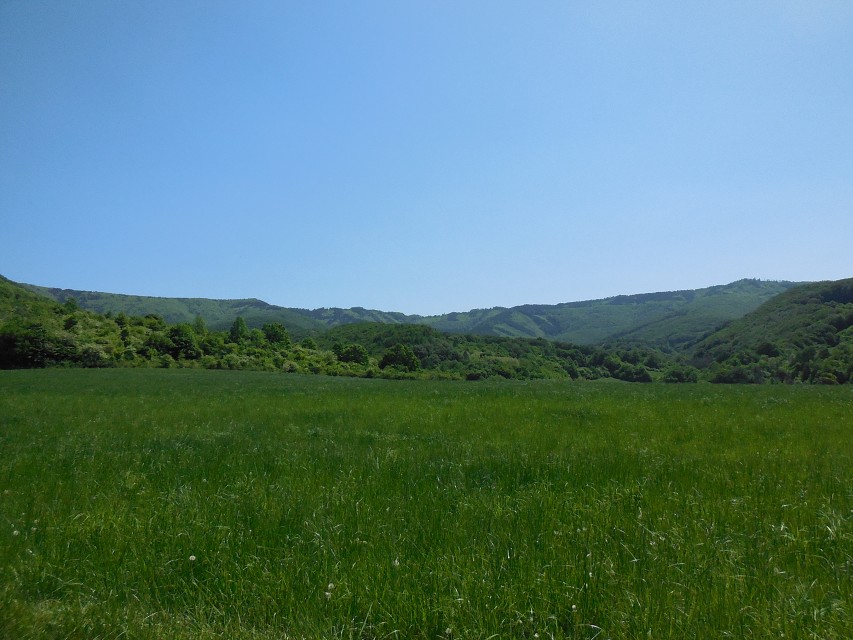 img00039.jpg