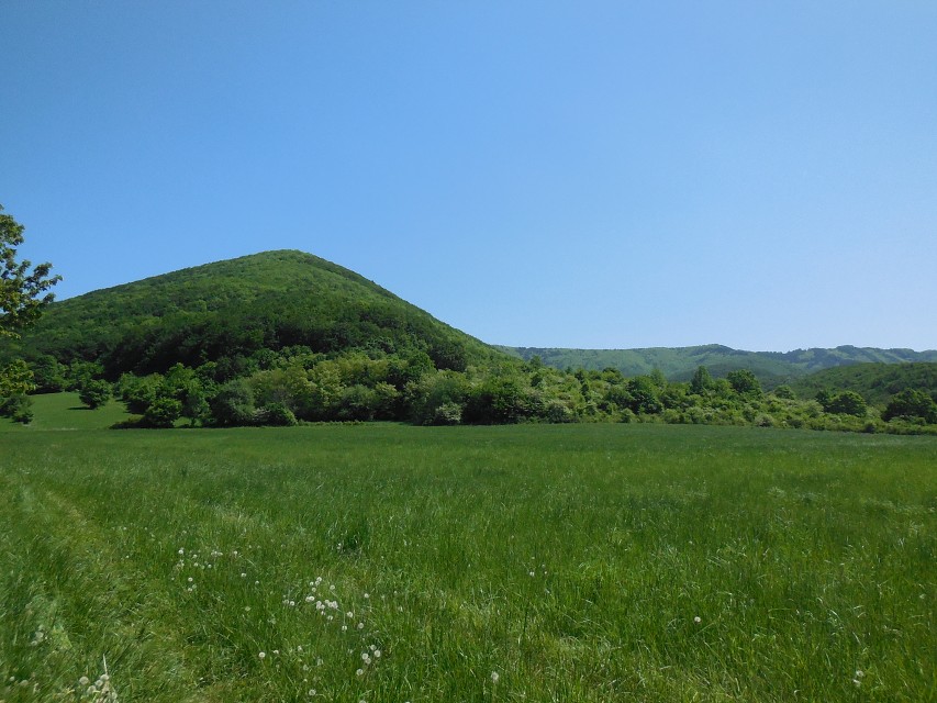 img00040.jpg